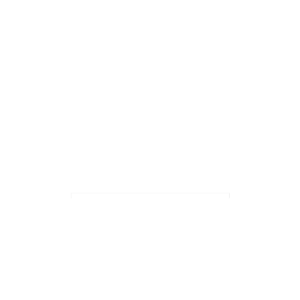 Carter MEI Pillars logo