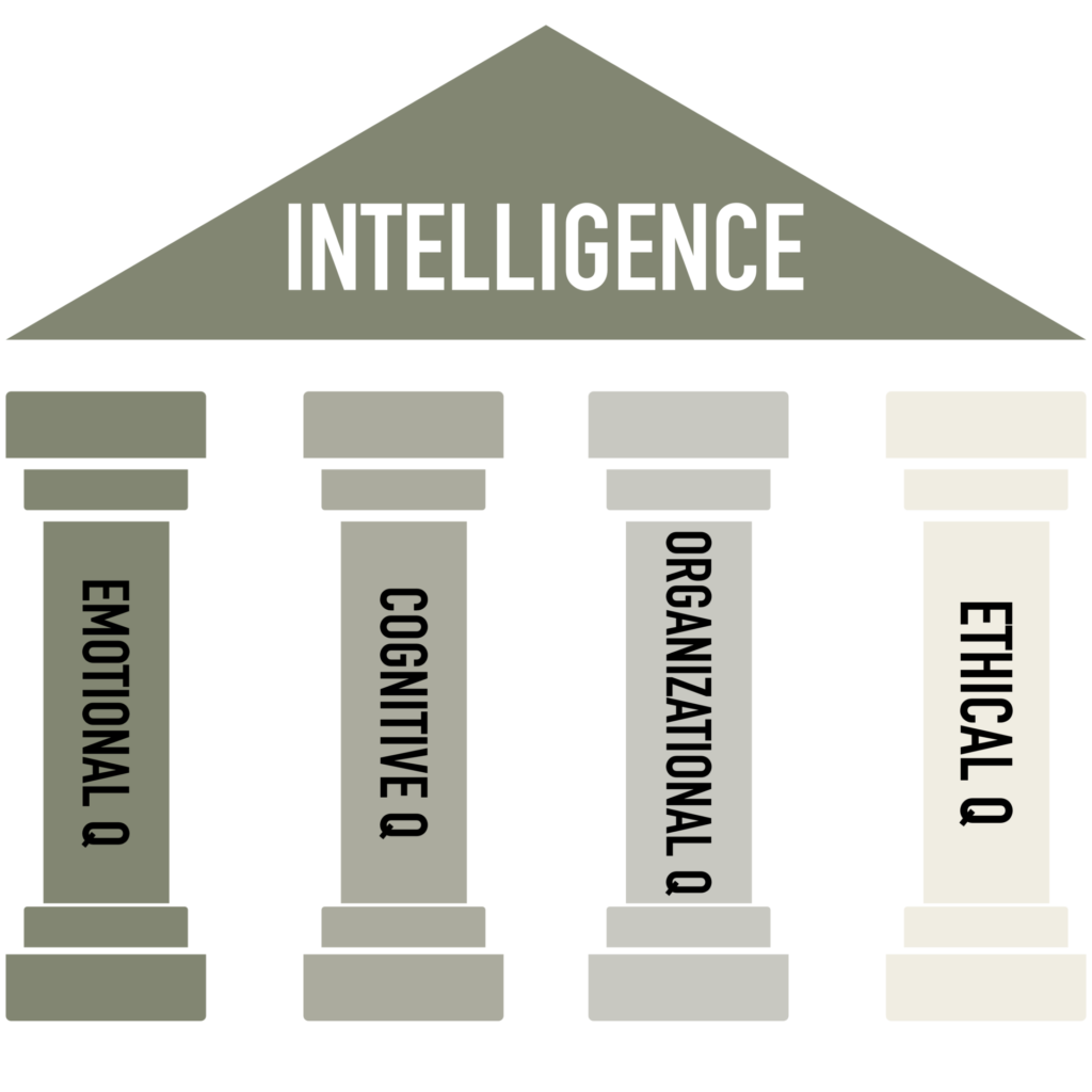 Carter MEI Framework-INTELLIGENCE