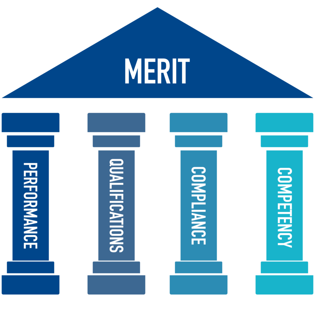 Carter MEI Framework-MERIT